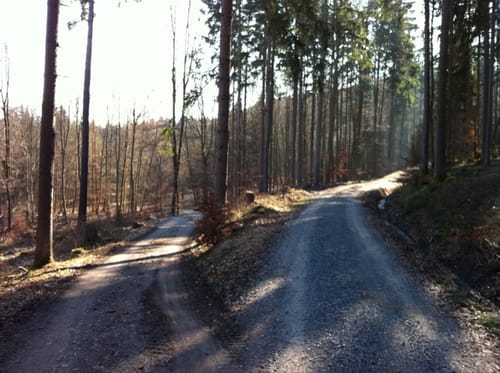 MTB: Stangenroth - Frauenroth - Bad Bocklet