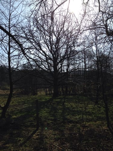 Naturerlebnispfad Bibertal