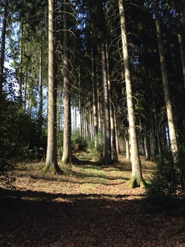 Naturerlebnispfad Bibertal