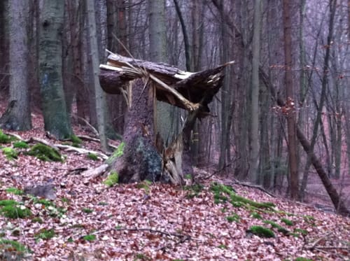 Rundwanderweg 4 ab Wanderparkplatz Erpetal des Naturparks Habichtswald