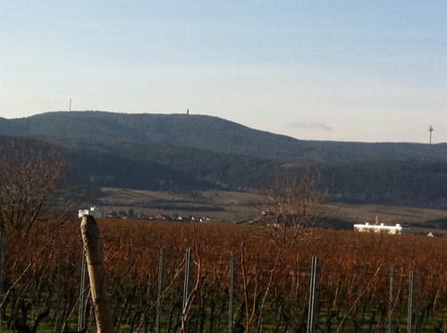 Wachenheim Römertour: Rundwanderweg 15