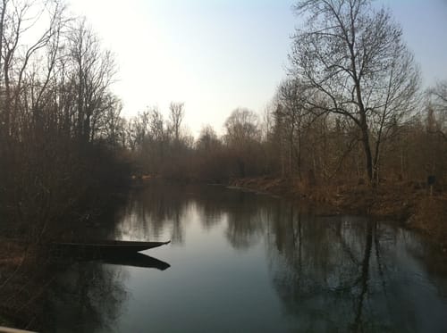 Wald(lehr)pfad Meißenheim