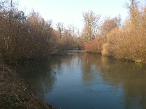 Wald(lehr)pfad Meißenheim