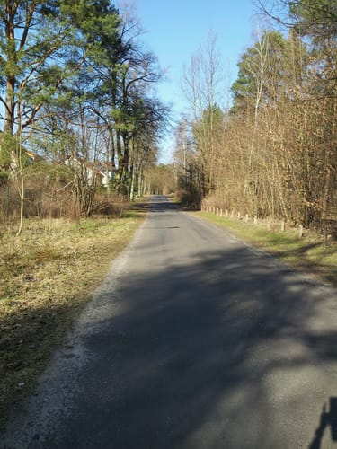 Mittelheide Rundweg