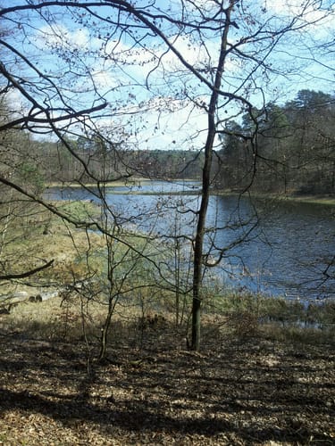 Rund um den Blumenthalsee