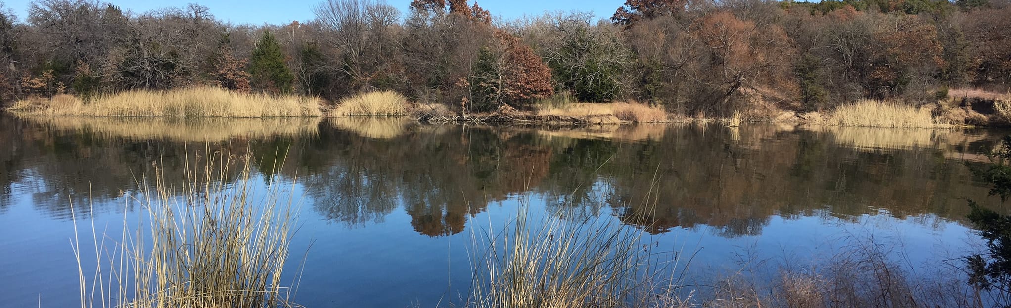 Eagle Mountain Lake Park Trail Map, Guide Texas AllTrails