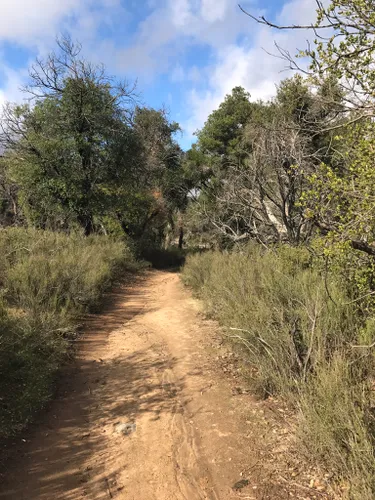 are dogs allowed at santa rosa plateau