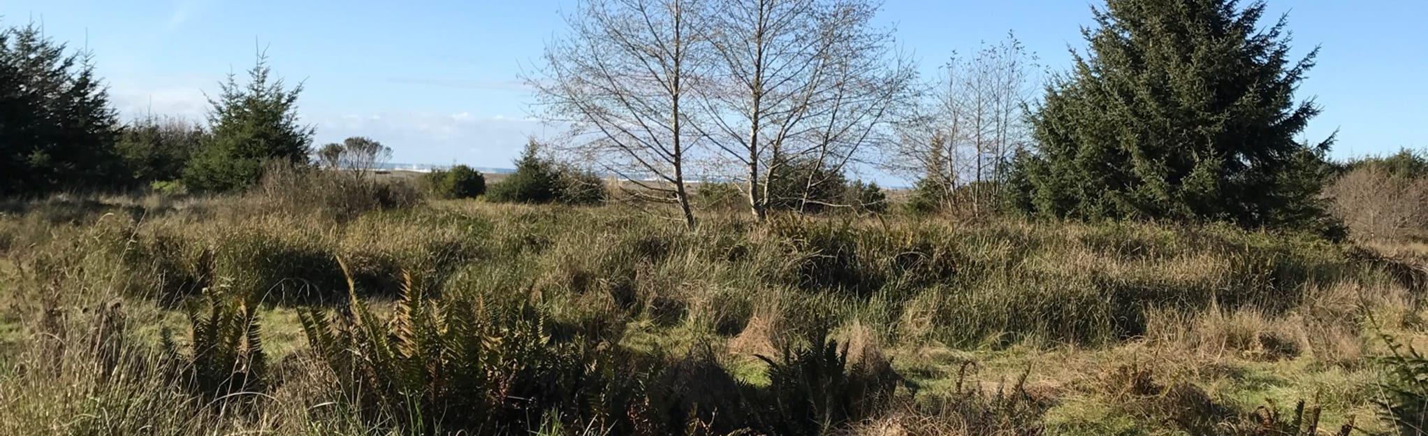 James Irvine Trail 1223 Reviews, Map California AllTrails