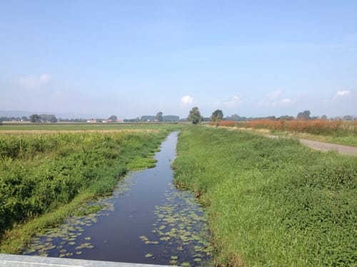 A10 Hille-Rothenuffeln