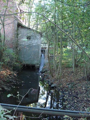 Am Kleinen Baalsee