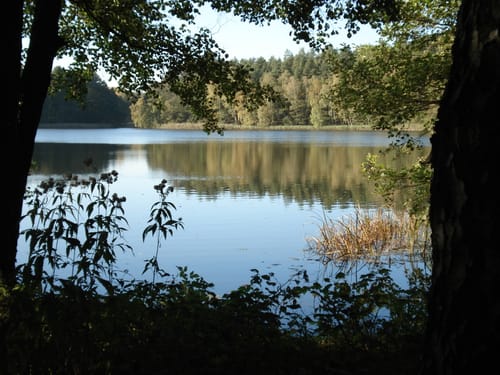 Am Kleinen Baalsee
