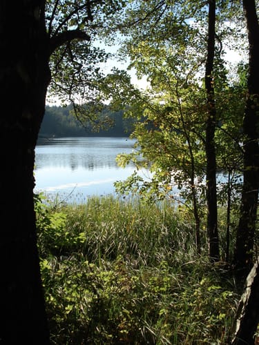 Am Kleinen Baalsee