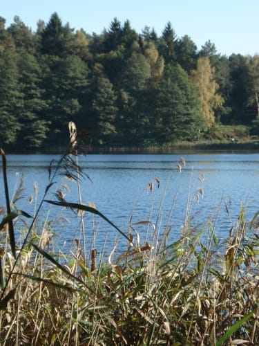 Am Kleinen Baalsee