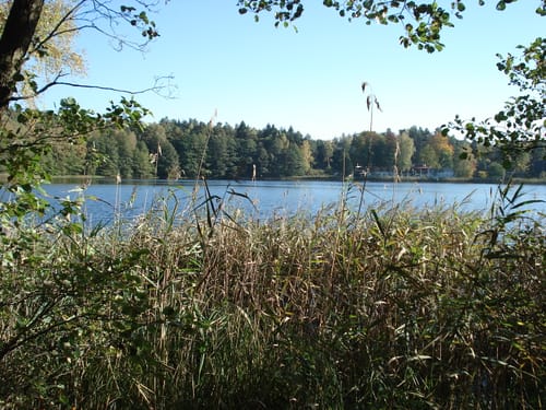 Am Kleinen Baalsee