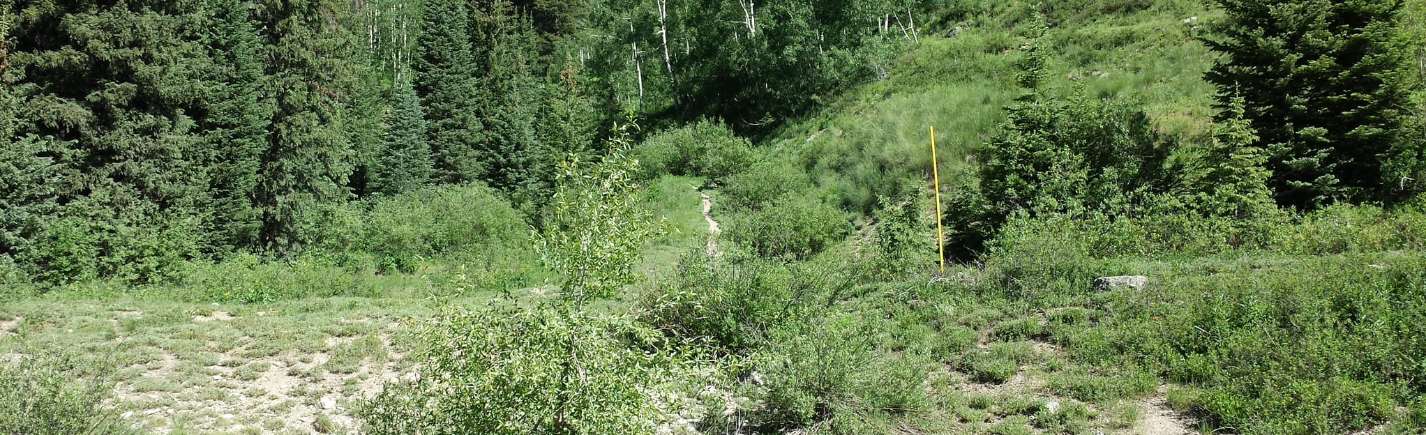 Kebler Wagon Trail 3 Reviews, Map Colorado AllTrails