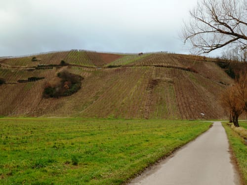 Rund um Buchholz und Windenreute