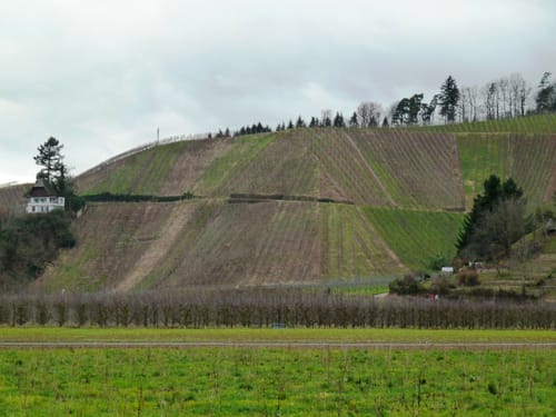 Rund um Buchholz und Windenreute