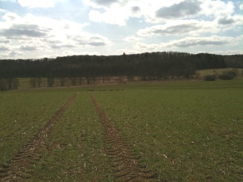 Runde bei Eishausen