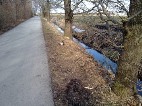 Um den Germeringer See ab Puchheim