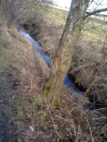 Um den Germeringer See ab Puchheim