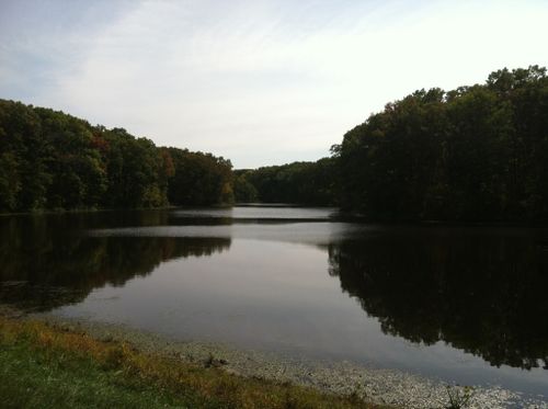 Escape to Nature's Embrace: A Guide to Iowa's Shimek State Forest