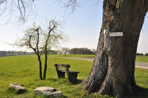 Radtour: Reichswald - Kalchreuth - Neunhof