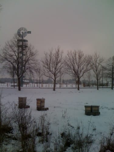 Um den Riemer See ab Haar