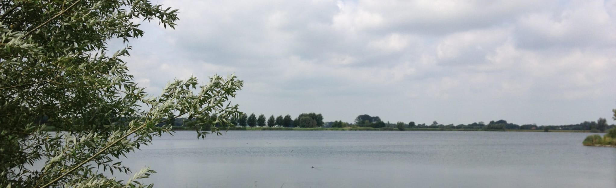 Nedereindse Plas Half Rondje, 1 Photos - Utrecht, Netherlands | AllTrails