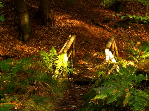 Rundweg Hütter Klosterteiche