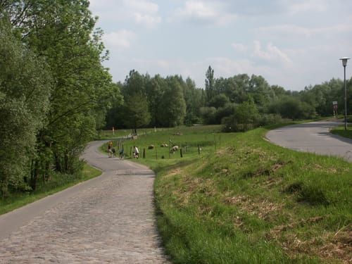 Radrundtour: von Geesthacht zum Junkernfeld