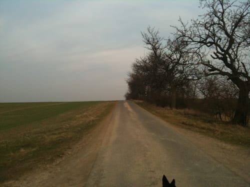 Nordharz Wasserleben Runde