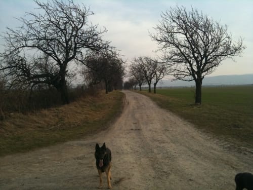 Nordharz Wasserleben Runde