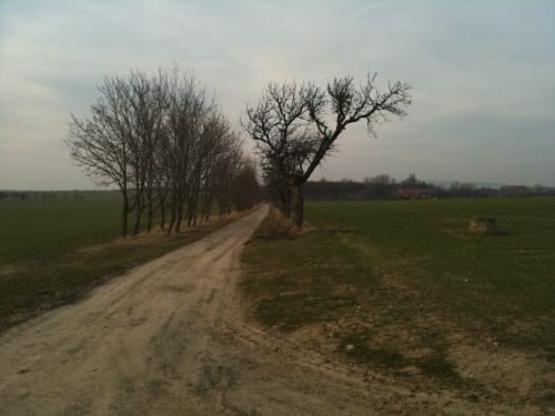 Nordharz Wasserleben Runde