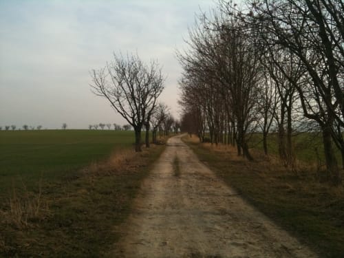 Nordharz Wasserleben Runde