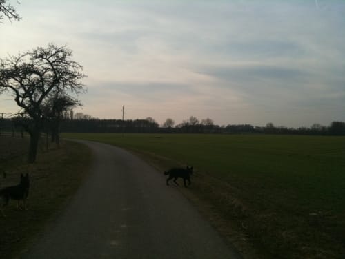 Nordharz Wasserleben Runde