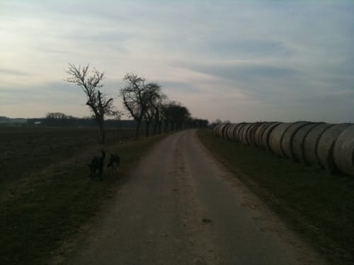 Nordharz Wasserleben Runde