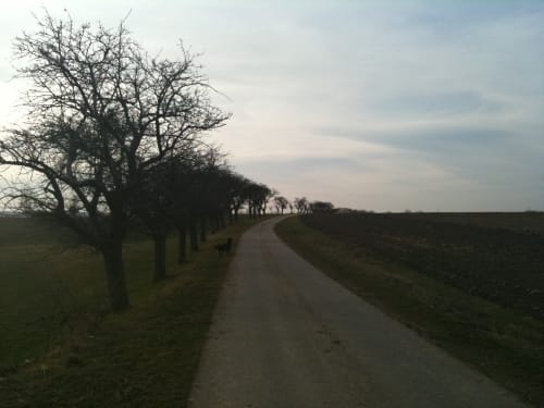 Nordharz Wasserleben Runde