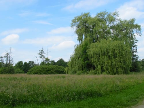 Lippstadt Rundweg L2