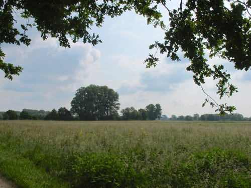 Lippstadt Rundweg L2