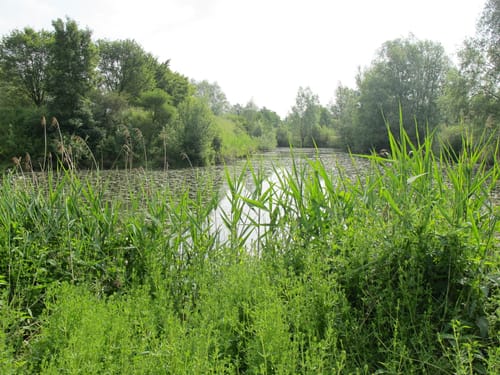 Lippstadt Rundweg L2