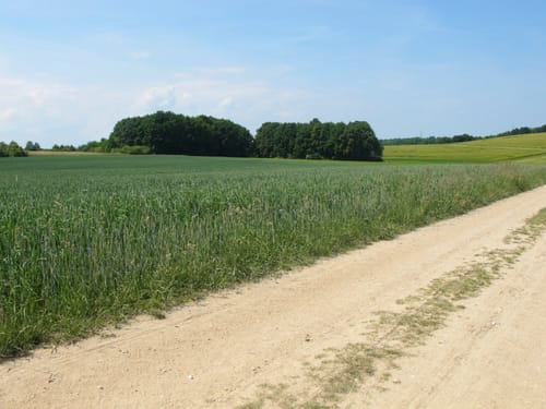 Crimmitschau Rundgang