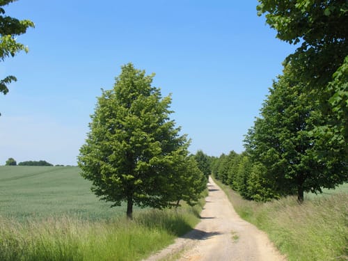 Crimmitschau Rundgang