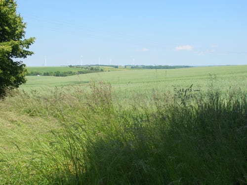 Crimmitschau Rundgang