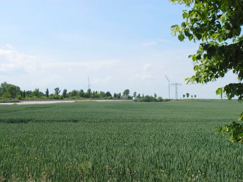 Crimmitschau Rundgang