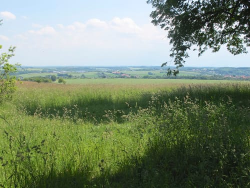 Crimmitschau Rundgang