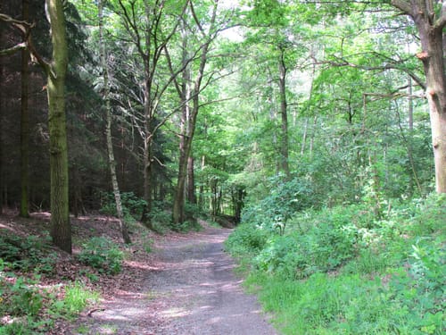 Koberbachtalsperre