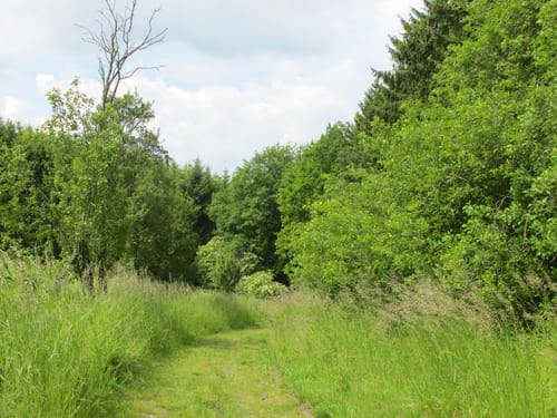 Koberbachtalsperre und Kleinbernsdorf