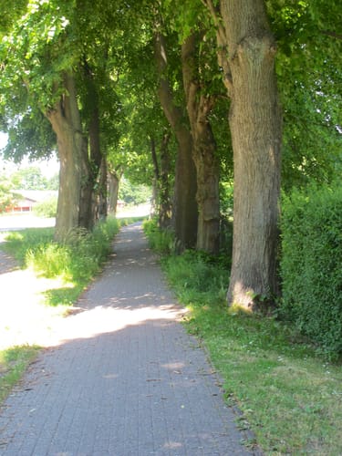 Räuber Vieting Rundweg bei Parchim