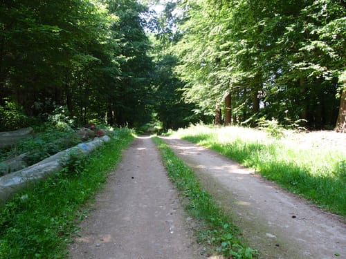 Räuber Vieting Rundweg bei Parchim