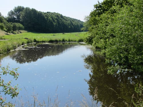Dänkritz und Koberbachtalsperre Rundweg